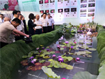 人文園林在浙江花博會(huì)上榮獲金獎(jiǎng)