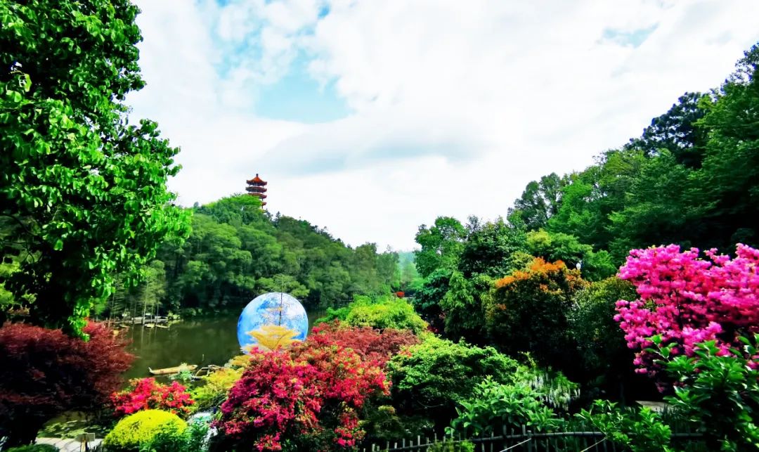 喜訊|2022粵港澳大灣區(qū)深圳花展“云”開(kāi)幕，人文園林首次斬獲三項(xiàng)大金獎(jiǎng)！