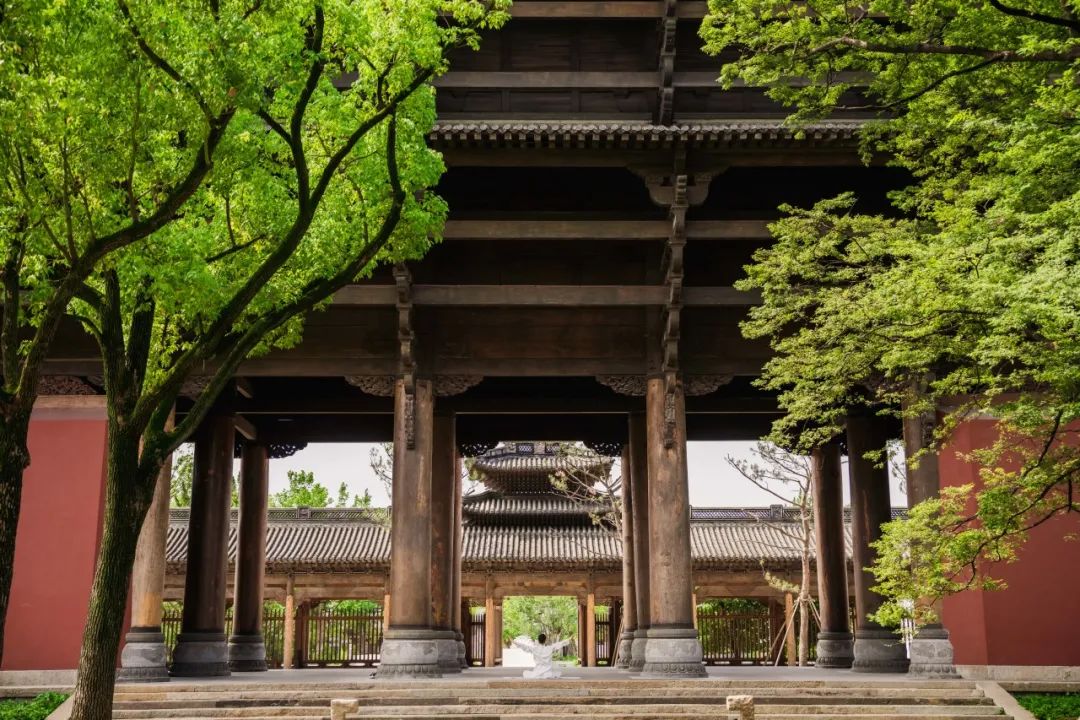 喜報|人文園林榮獲桐鄉(xiāng)市“鳳鳴杯”三項優(yōu)質工程榮譽！