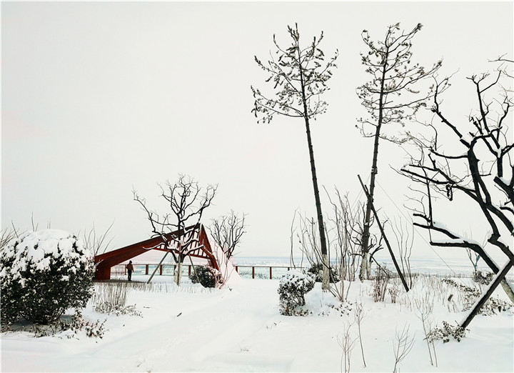 張俊捷-5.一點紅銹 2017-12-23  白紙黑墨再配上一筆暖色，構(gòu)成了一幅有韻味的畫面。耐候鋼與油松的高矮對比，奠定了畫面的平衡。.jpg