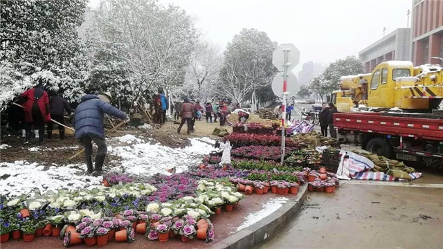 15482290328866262D5A.jpg QQ圖片20190123152953.jpg