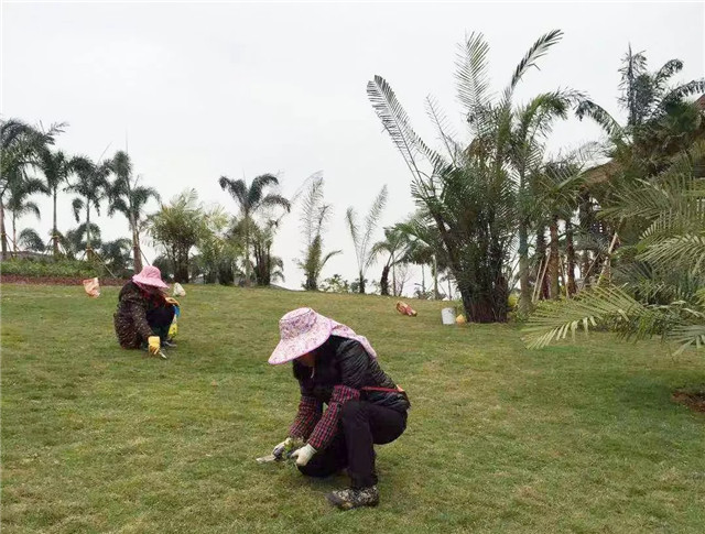 15482291251892539741.jpg QQ圖片20190123153234.jpg